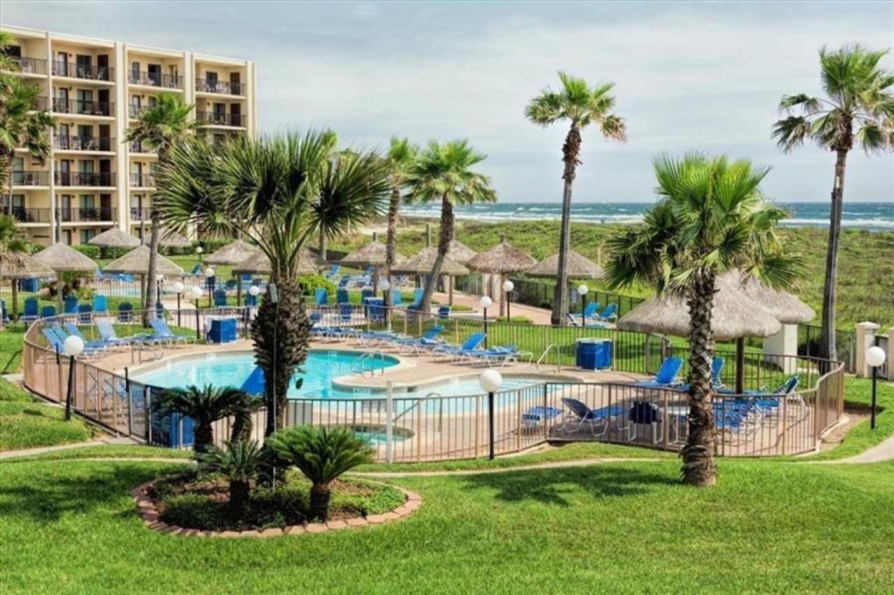 Saida 3 South Padre Island